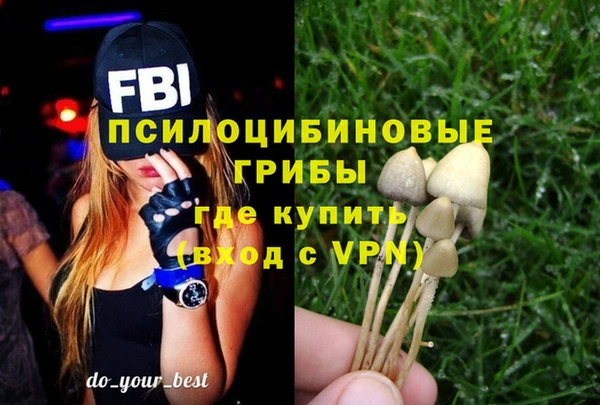 эйфоретик Арсеньев