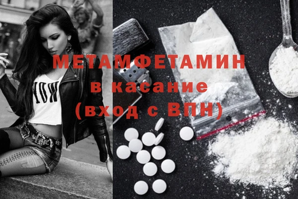 прущие грибы Покров