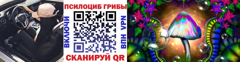 Псилоцибиновые грибы ЛСД Новосиль